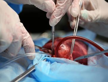 >Il Cardiochirurgo De Bonis Michele, effettua visite specialistiche presso il Centro Medico Kos